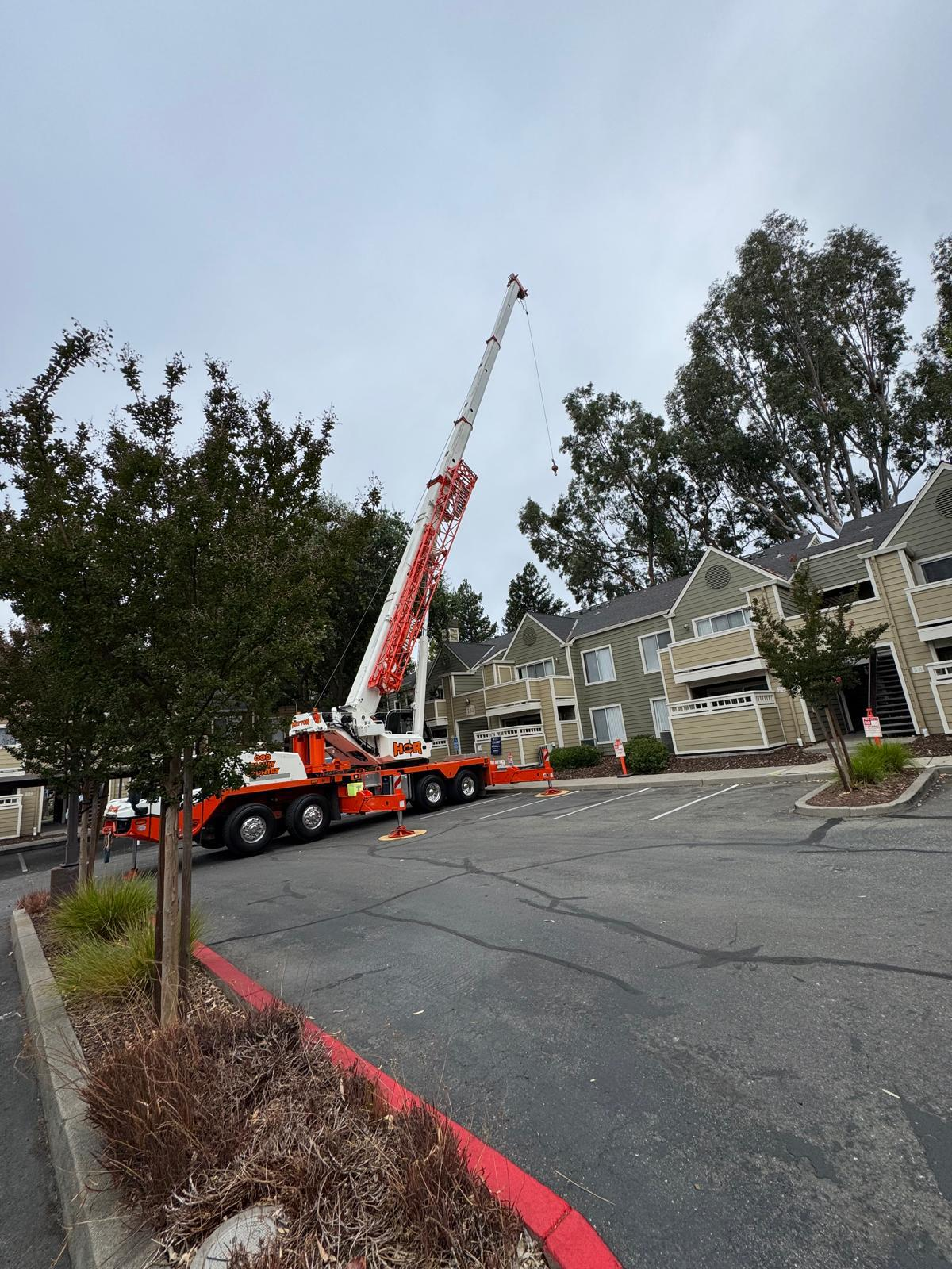 Rodriguez Tree Services crane on a residential job site